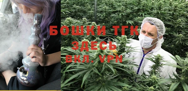 индика Сатка