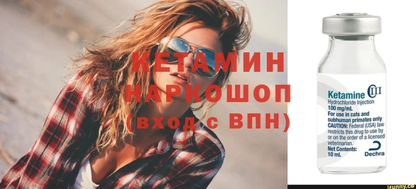 индика Сатка